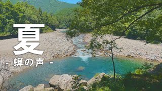 【夏】5分間のマインドフルネス瞑想 – 蝉の声【癒やし】