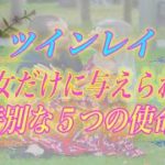 【スピリチュアル】ツインレイ女性の貴女だけに与えられた特別な5つの使命