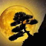 【528Hz・睡眠・癒し】癒やされる瞑想音楽とソルフェジオ周波数で日々の疲れ、ストレスを緩和しながら濃縮した深い睡眠の時間へ…長時間の睡眠導入音楽 #10