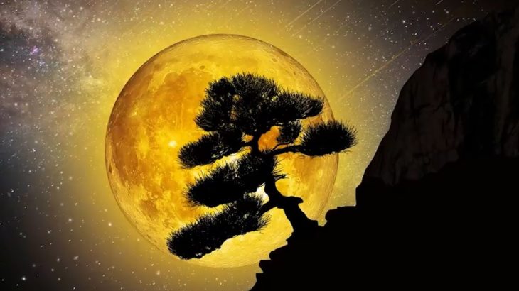 【528Hz・睡眠・癒し】癒やされる瞑想音楽とソルフェジオ周波数で日々の疲れ、ストレスを緩和しながら濃縮した深い睡眠の時間へ…長時間の睡眠導入音楽 #10