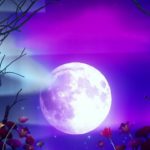 【528Hz・睡眠・癒し】癒やされる瞑想音楽とソルフェジオ周波数で日々の疲れ、ストレスを緩和しながら濃縮した深い睡眠の時間へ…長時間の睡眠導入音楽 #12