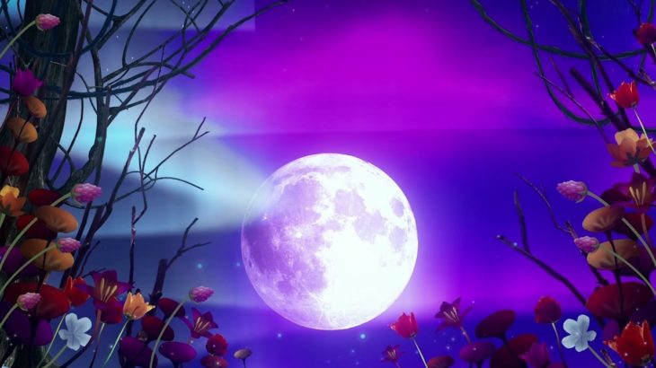 【睡眠導入・528Hz】眠りを助ける癒しの瞑想音楽とソルフェジオ周波数が毎日のストレス緩和、疲労回復を促す濃縮した睡眠の時間を… #12