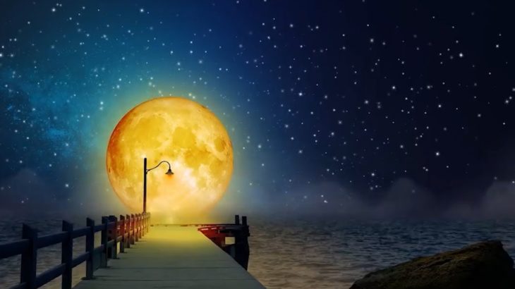 【睡眠導入・528Hz】眠りを助ける癒しの瞑想音楽とソルフェジオ周波数が毎日のストレス緩和、疲労回復を促す濃縮した睡眠の時間を… #14