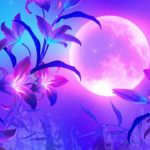 【528Hz・睡眠・癒し】癒やされる瞑想音楽とソルフェジオ周波数で日々の疲れ、ストレスを緩和しながら濃縮した深い睡眠の時間へ…長時間の睡眠導入音楽 #2