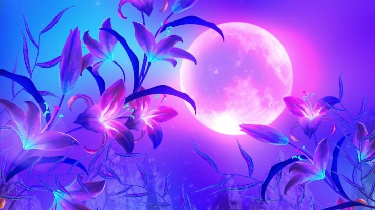 【528Hz・睡眠・癒し】癒やされる瞑想音楽とソルフェジオ周波数で日々の疲れ、ストレスを緩和しながら濃縮した深い睡眠の時間へ…長時間の睡眠導入音楽 #2