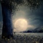 【睡眠・瞑想・528Hz】ソルフェジオ周波数で壊れたDNA、細胞を修復してくれる癒しの音楽で眠りを誘う…疲労とストレスを浄化しながらゆっくりと入眠… #7