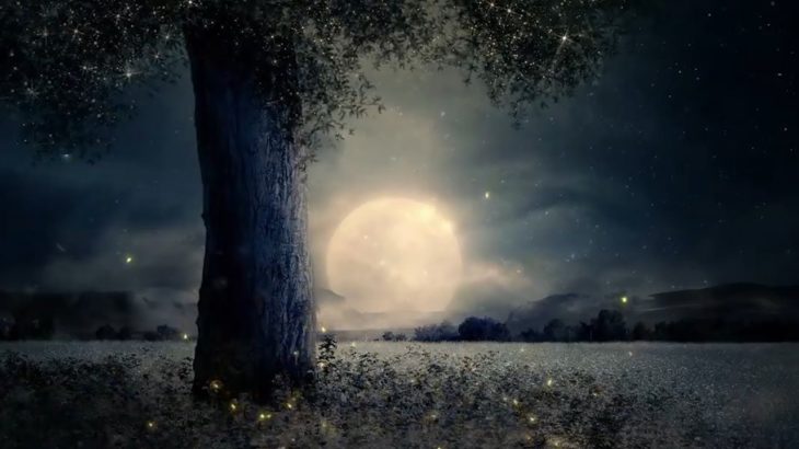 【睡眠・瞑想・528Hz】ソルフェジオ周波数で壊れたDNA、細胞を修復してくれる癒しの音楽で眠りを誘う…疲労とストレスを浄化しながらゆっくりと入眠… #7