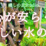 【ASMR 心が安らぐ 水の音 川のせせらぎ 水車】自然の音 静かな眠りが訪れる 安心の眠り 眠りに入る音 自己肯定感  癒し α波 マインドフルネス 自律神経を整える リラックス  瞑想