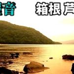 環境音 ASMR ヒーリング 癒しの睡眠用 BGM 寝落ち 作業用 在宅 テレワーク 箱根 芦ノ湖 桃源台 湖尻 （強羅 大涌谷 小涌谷周辺） 湖 雨音 波音 鳥 風音 サンセット　　音量上げて再up