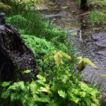【ASMR　作業用　睡眠用　癒し　ヒーリング　リラックス】山形市某所雨の風景②　【雨音・虫の声・エンドレス　60分】japan Background noise, Rain Sounds