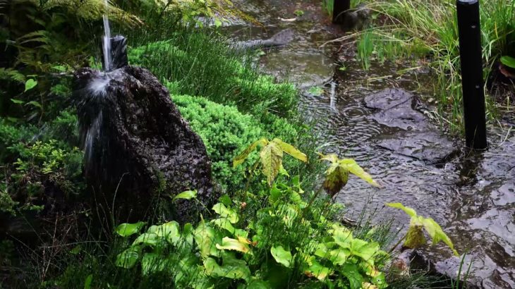 【ASMR　作業用　睡眠用　癒し　ヒーリング　リラックス】山形市某所雨の風景②　【雨音・虫の声・エンドレス　60分】japan Background noise, Rain Sounds