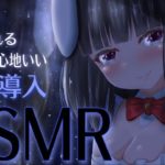 【ASMR】眠れない夜の睡眠誘導。心地いい音でお耳をたっぷり癒します♡【whisper/shampoo/Earpick…etc】【ますかれーど/帽子屋える(Elle Boushiya)