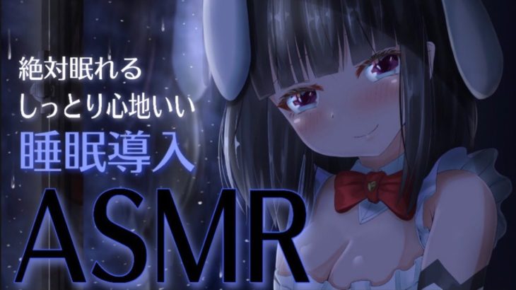【ASMR】眠れない夜の睡眠誘導。心地いい音でお耳をたっぷり癒します♡【whisper/shampoo/Earpick…etc】【ますかれーど/帽子屋える(Elle Boushiya)
