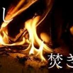 [寝落ち 睡眠用BGM] 癒し 自然音 焚き火