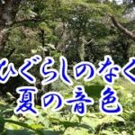 作業用 勉強用 睡眠用 BGM 夏の自然音 癒し 夏の音色 心地良い音