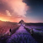 心がじんわり温まる、癒しのオルゴール【ゆったり睡眠用BGM】😴