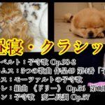 【お昼寝・クラシック！】お子様のお昼寝や睡眠導入・癒しのひと時としてご利用下さい！『背景は、猫の寝顔と犬の寝顔です』（お昼寝・癒し・睡眠導入・BGM等に！※音量はお好みで調整して下さい！）