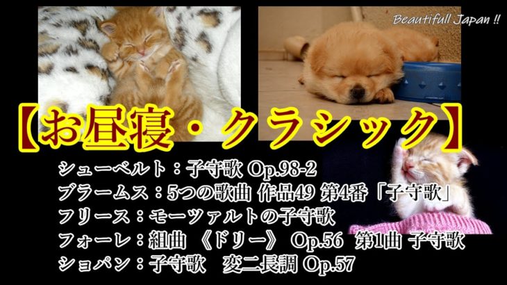 【お昼寝・クラシック！】お子様のお昼寝や睡眠導入・癒しのひと時としてご利用下さい！『背景は、猫の寝顔と犬の寝顔です』（お昼寝・癒し・睡眠導入・BGM等に！※音量はお好みで調整して下さい！）