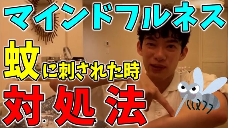 蚊に刺された時も使える？超マインドフルネス対処法！【メンタリストDaiGo】【切り抜き】【テロップあり】