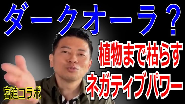 スピリチュアル？不自然に植物が枯れた。その理由とは？#DaiGo#宮迫#コラボ#植物#オーラ