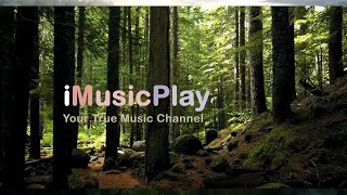 音楽: 睡眠、瞑想、ヨガ、癒し. 음악: 수면, 명상, 요가, 치유. Music: Relaxing, Meditation, Yoga, Deep Sleep.