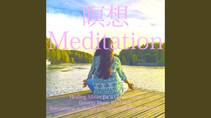 水の流れとマインドフルネス – Water flow and mindfulness