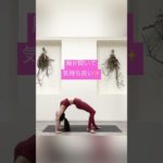 YOGA毎日の練習風景　#Shorts  @YUMI TAKAMI /ヨガピラティス専門チャンネル