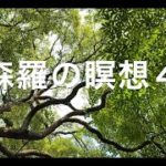 ＜森羅の瞑想４＞ ピアノ & 映像 by ウォンウィンツァン（90/9/28札幌パームホール）#癒やし #ヒーリング #リラクゼーション #マインドフルネス #BGM #環境音楽