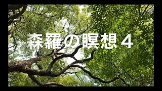 ＜森羅の瞑想４＞ ピアノ & 映像 by ウォンウィンツァン（90/9/28札幌パームホール）#癒やし #ヒーリング #リラクゼーション #マインドフルネス #BGM #環境音楽