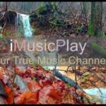 iMuscPlay: Relaxing, Meditation, Yoga, Music Mate, Music Buddy, 睡眠、瞑想、ヨガ、癒し. 음악: 수면, 명상, 요가, 치유