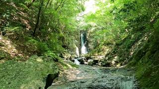 【自然の癒し】短時間リラクゼーション♪relaxation sound、清涼感、瞑想