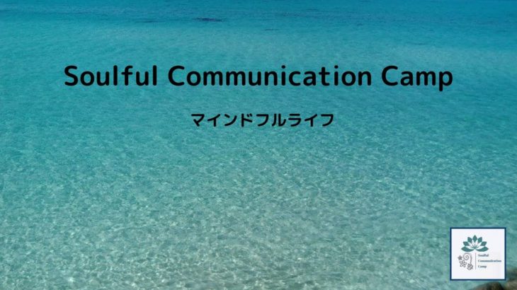 外部マイクをつけてインスタライブしてみた😃　#マインドフルネス #瞑想リトリート