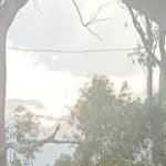 夏至ヒーリング瞑想ラスト！ありがとうございました！本音話しお多め（笑）　