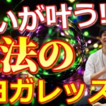 願いが叶う！魔法のヨガレッスン　お代は社会に還元してください！【無料公開中】