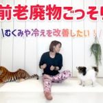 【ヨガ】たっぷり３０分♪寝る前の老廃物ごっそりヨガ！【ダイエット】