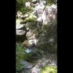 マインドフルネス　鎌倉一条恵観山荘　せせらぎ