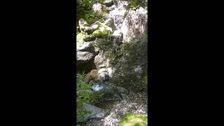 マインドフルネス　鎌倉一条恵観山荘　せせらぎ