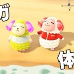 【あつ森】ヨガをするマリーと体操するちゃちゃまる