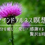 誘導瞑想｜自分を癒し愛するための瞑想。満たされた時間と感謝をあなたへ｜マインドフルネス瞑想