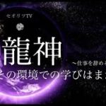 【会社がしんどいを無くす】仕事をやめるべき？続けるべき？【※魂の成長】ベストなタイミングや新しいステージのサイン！人の低い波動に影響されない＃龍神＃スピリチュアル＃マインドフルネス＃瞑想＃開運＃覚醒