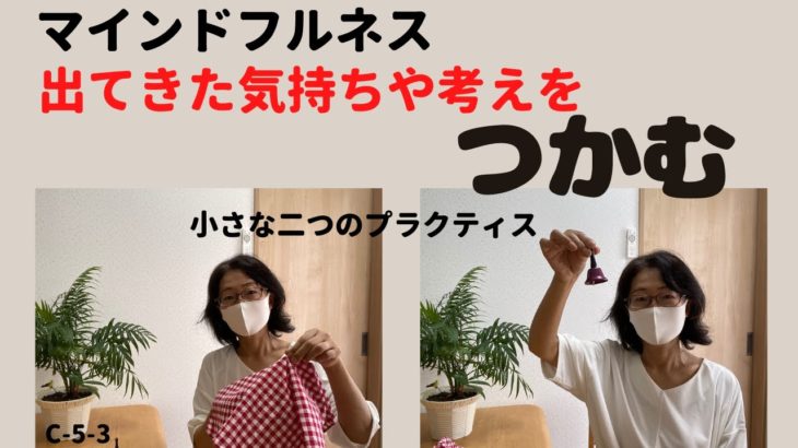 マインドフルネスの気づきの基礎・瞬間に出た考えや気持ちを掴む練習(マインドフルネスの時間)