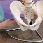 秋田杉ヨガブロックの使い方