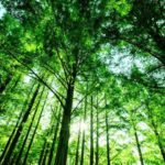 スピリチュアルヒーラー、病んでる人多すぎ問題