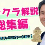 【スピリチュアル】チャクラ解説総集編！【野呂田直樹】