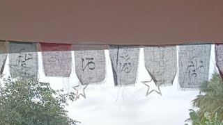 夏至ヒーリングライブ　アルクトゥルス宇宙船ヒーリング　部活（笑）