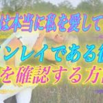 【スピリチュアル】彼は本当に私を愛してる？ツインレイである彼の愛の確認方法