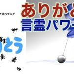 「ありがとう」のスピリチュアルパワー・アカシックレコード検証