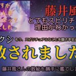 藤井風さんのスピリチュアルな生き方にはワケがあった!?