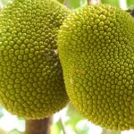 瞑想音楽、ストレスのためのリラックスできる音楽、癒しの音楽と素敵な写真リラックスした新しい日