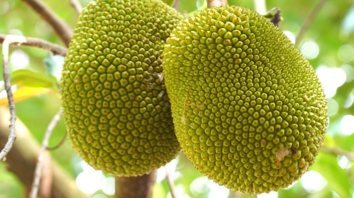 瞑想音楽、ストレスのためのリラックスできる音楽、癒しの音楽と素敵な写真リラックスした新しい日